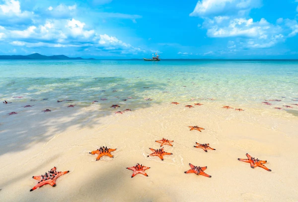 🏖 Топ пляжей Фукуока