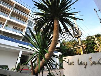 LAE LAY SUITES 3*