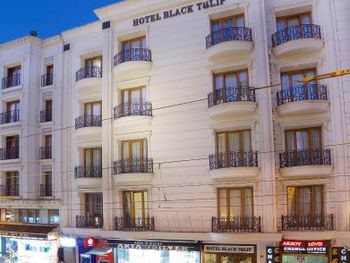 BLACK TULIP 4*