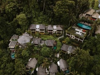 JANNATA RESORT & SPA 4*