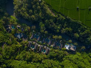THE SAMAYA UBUD 4*
