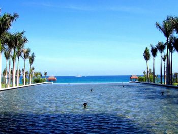 MANGROVE TREE RESORT 5*