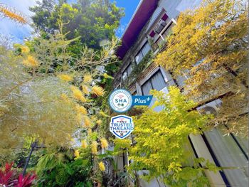 IDEO PHUKET HOTEL 3*