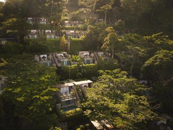 DINSO RESORT & VILLAS PHUKET VIGNETTE COLLECTION 5*