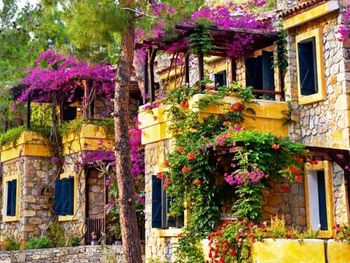 SYMBOLA OLUDENIZ BEACH HOTEL 3*