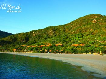 WILD BEACH RESORT 4*