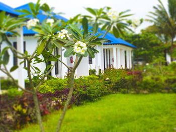 KIGWEDENI VILLAS 3*