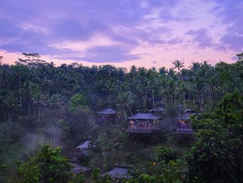 CAPELLA UBUD 5*