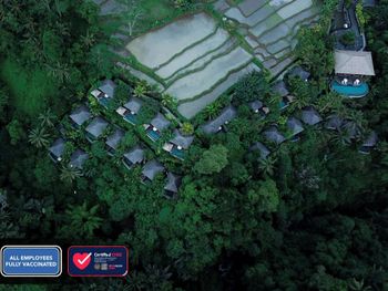 NATYA RESORT UBUD 5*