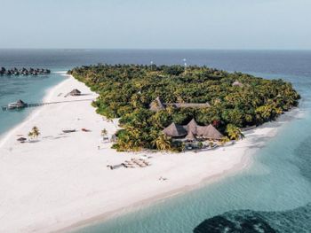 COCO PALM DHUNI KOLHU 4+ *