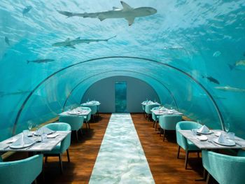 CONRAD MALDIVES RANGALI ISLAND 5*