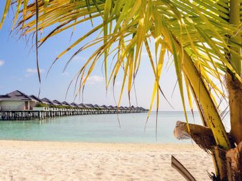 SUN ISLAND RESORT & SPA 5*