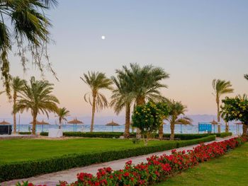 FIORD CLUB RESORT & SPA (EX. NUWEIBA CLUB VILLAGE & RESORT) 4*