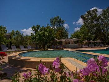 PETRINO SUITES 4*