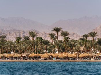 JAZ FAYROUZ RESORT (EX. HILTON SHARM FAYROUZ RESORT) 4*