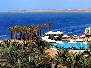 REEF OASIS BEACH RESORT 5*