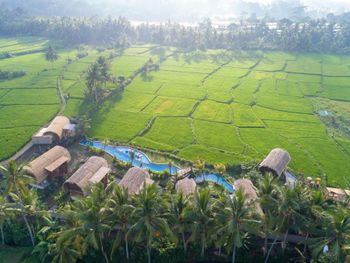 BEEHOUSE DIJIWA UBUD 4*