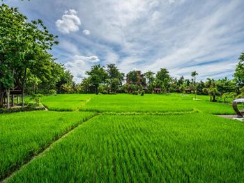 KAJANE YANGLONI UBUD 4*