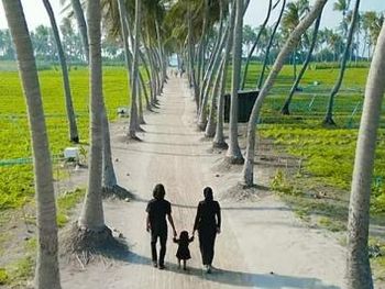 ALESARA GUEST HOUSE 3*