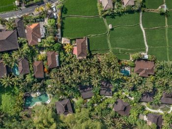 KORURUA DIJIWA UBUD (EX. KORURUA VILLA) 4*