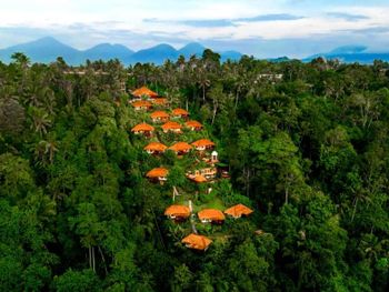 NANDINI BALI JUNGLE RESORT 4*