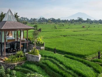 GDAS BALI HEALTH & WELLNESS RESORT 5*