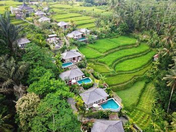 NAU VILLA UBUD 4*