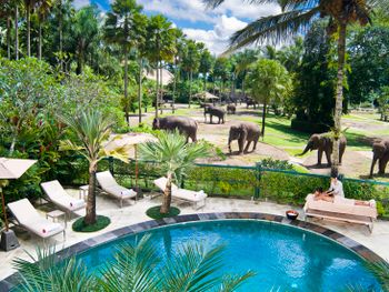 MASON ELEPHANT PARK AND LODGE GIANYAR BALI 5*