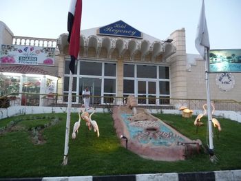 REGENCY HOTEL SHARM EL SHEIKH 2*