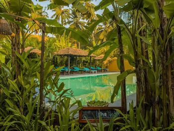 JUSTA MORJIM BEACH RESORT 3*