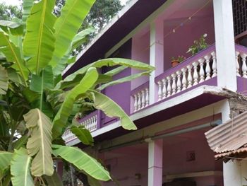 ORCHID GUEST HOUSE GOA 2*