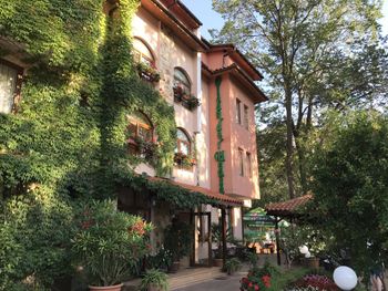 CALYPSO SUNNY BEACH 3*