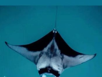 OCEANVINE, ADH, MAHIBADHOO 3*