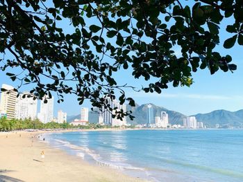 MEDIA NHA TRANG HOTEL 4*