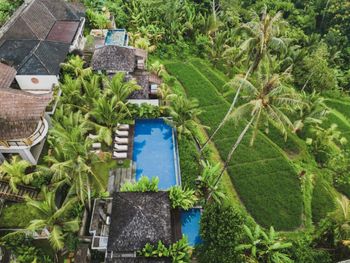 MAAR RESORT UBUD 5*