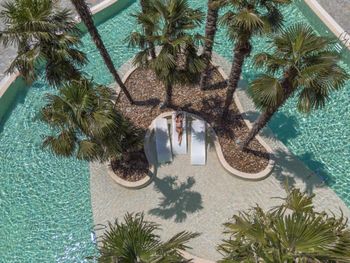 DREAMLAND OASIS HOTEL 5*