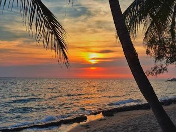 ANCARINE BEACH RESORT 3*