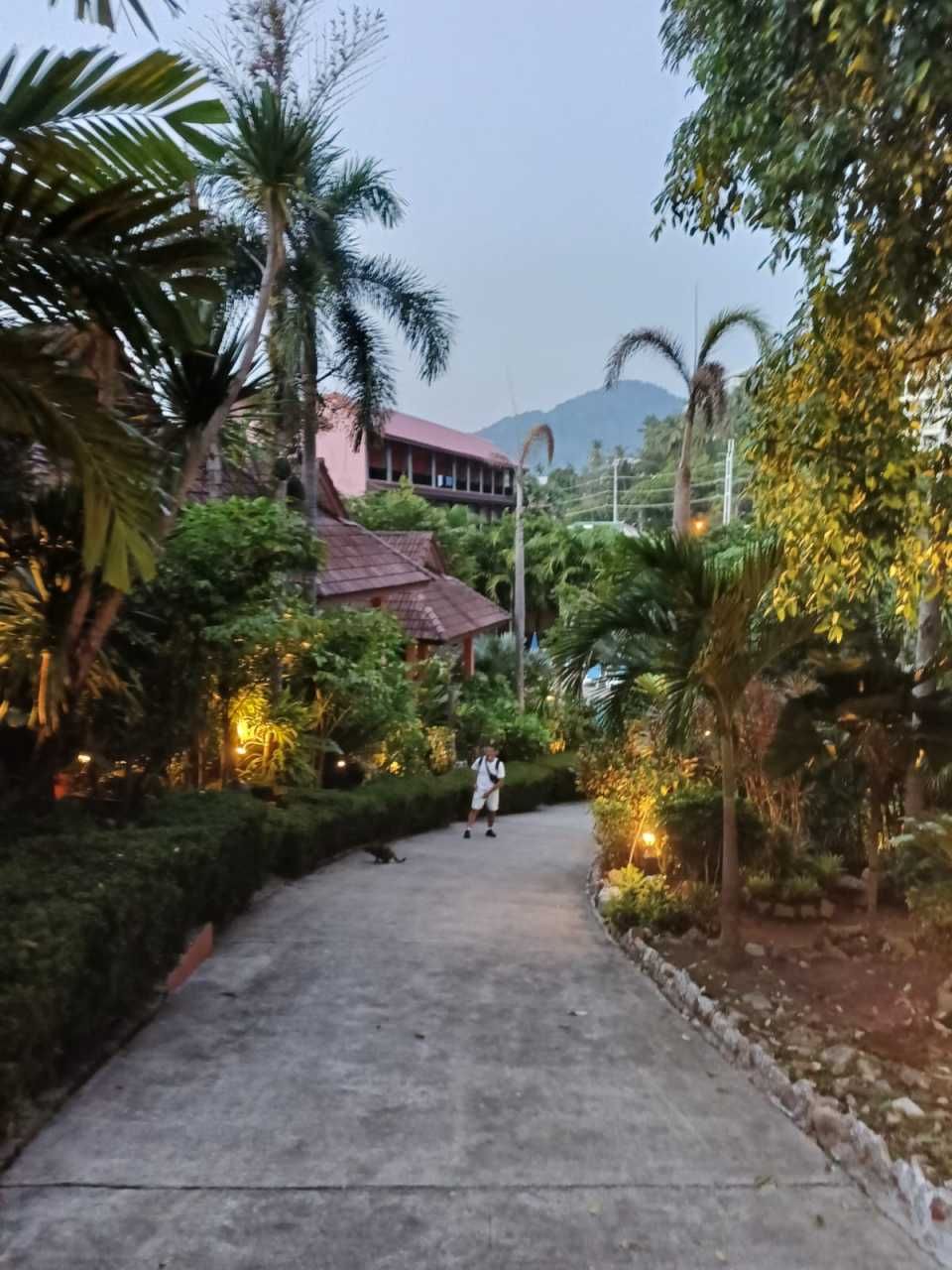 Review Photo