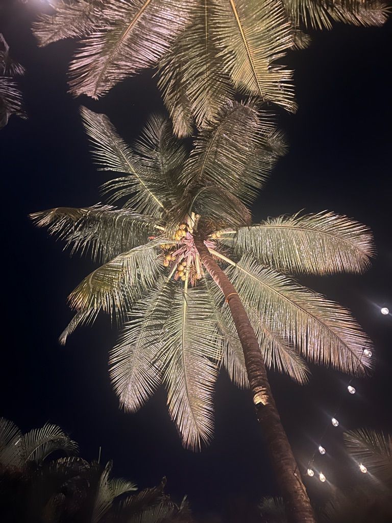 Фото отзыва